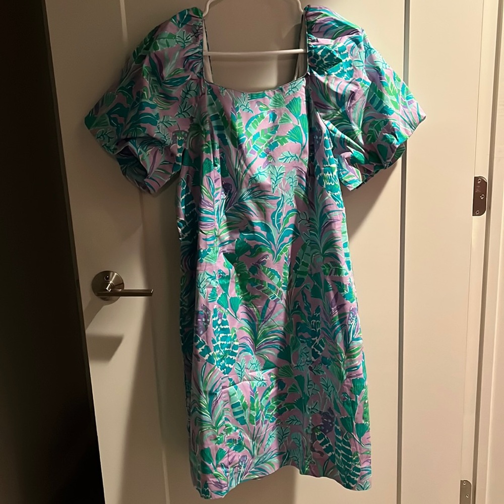 NWT Lilly Pulitzer Size 14 Dress